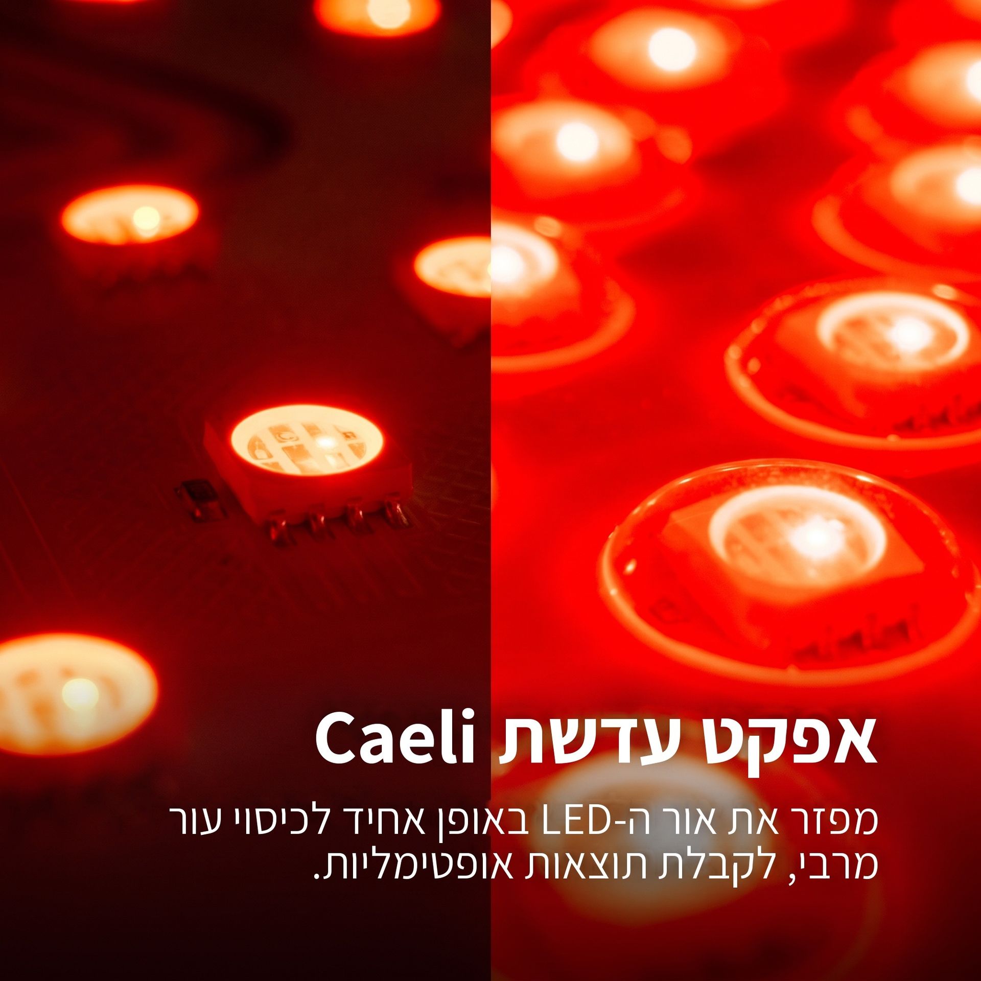 עדשת Caeli