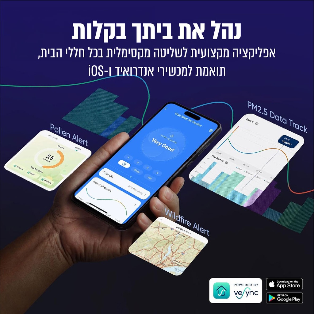 תמונה 5