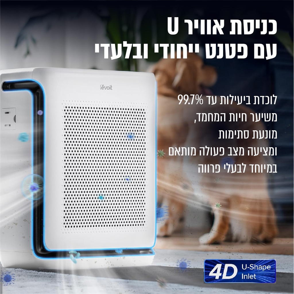תמונה 3