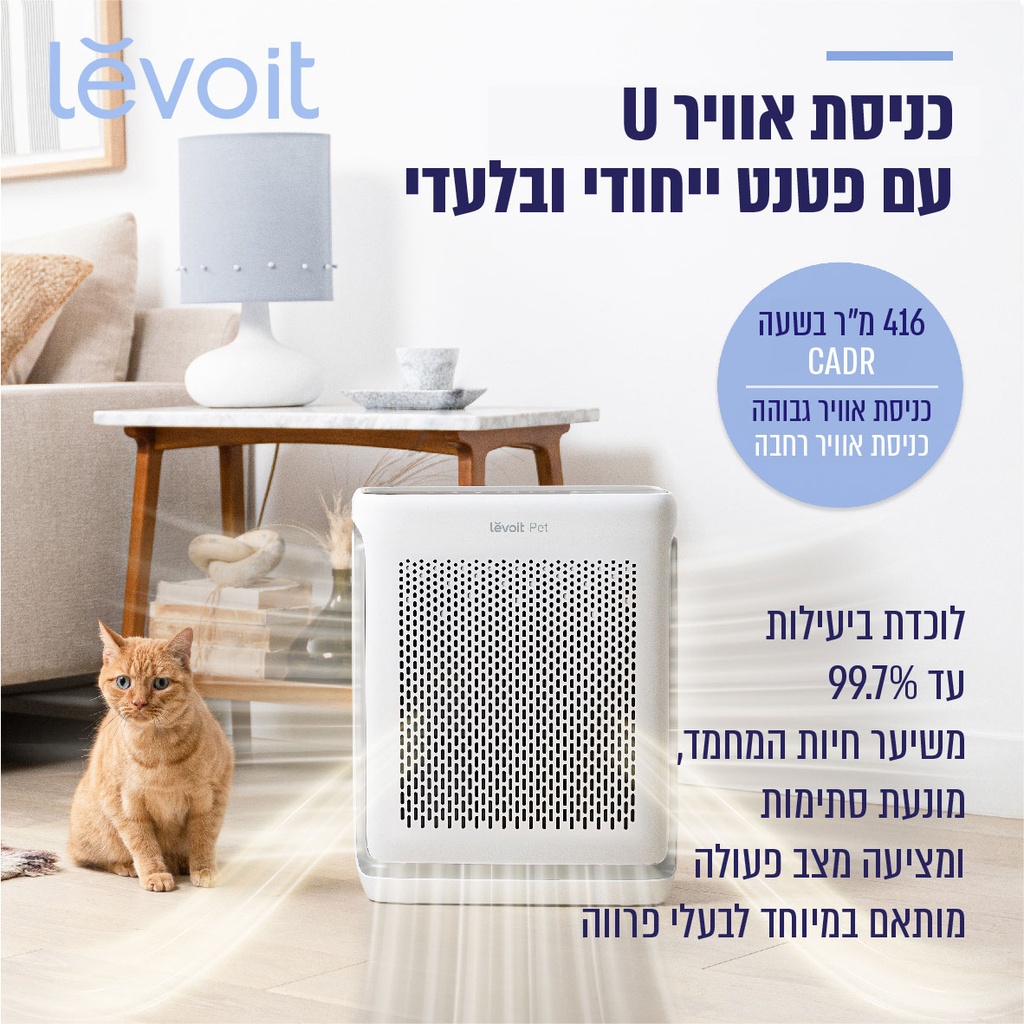 תמונה 5