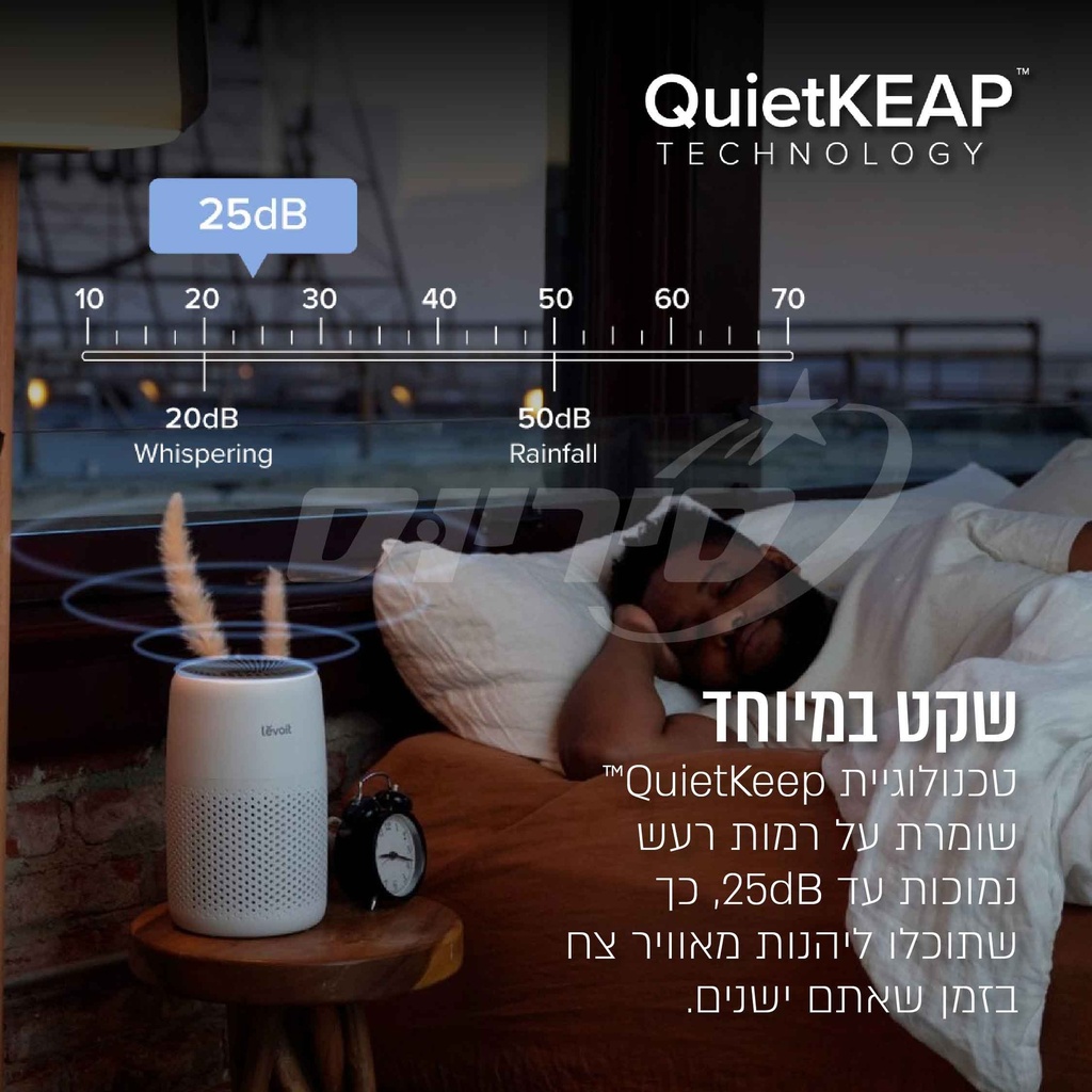 תמונה 3
