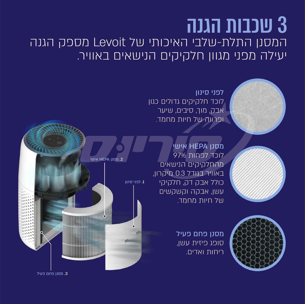 תמונה 6