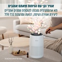 תמונה 6