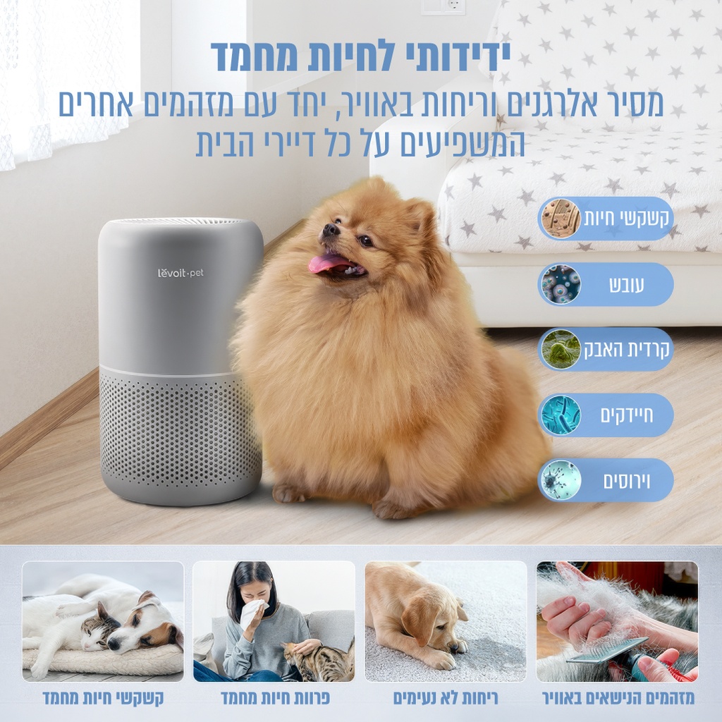 תמונה 2