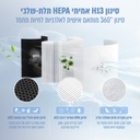 תמונה 3