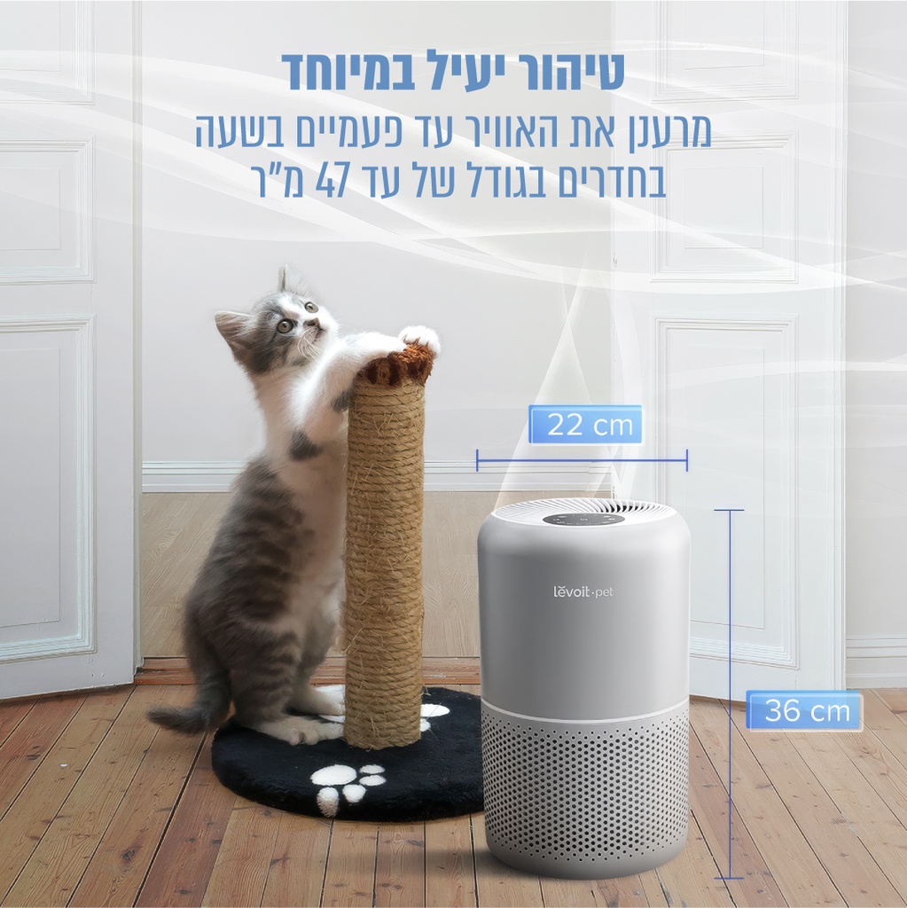 תמונה 5