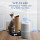 תמונה 5
