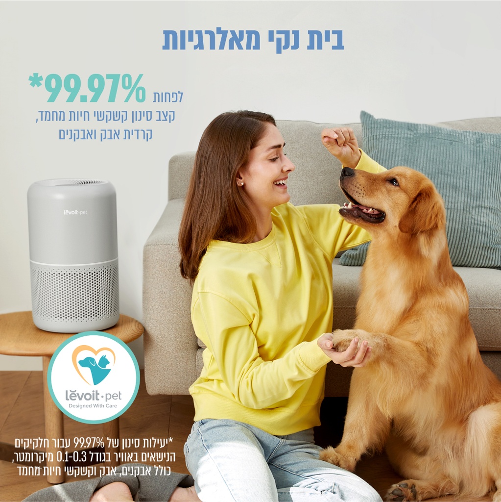 תמונה 6