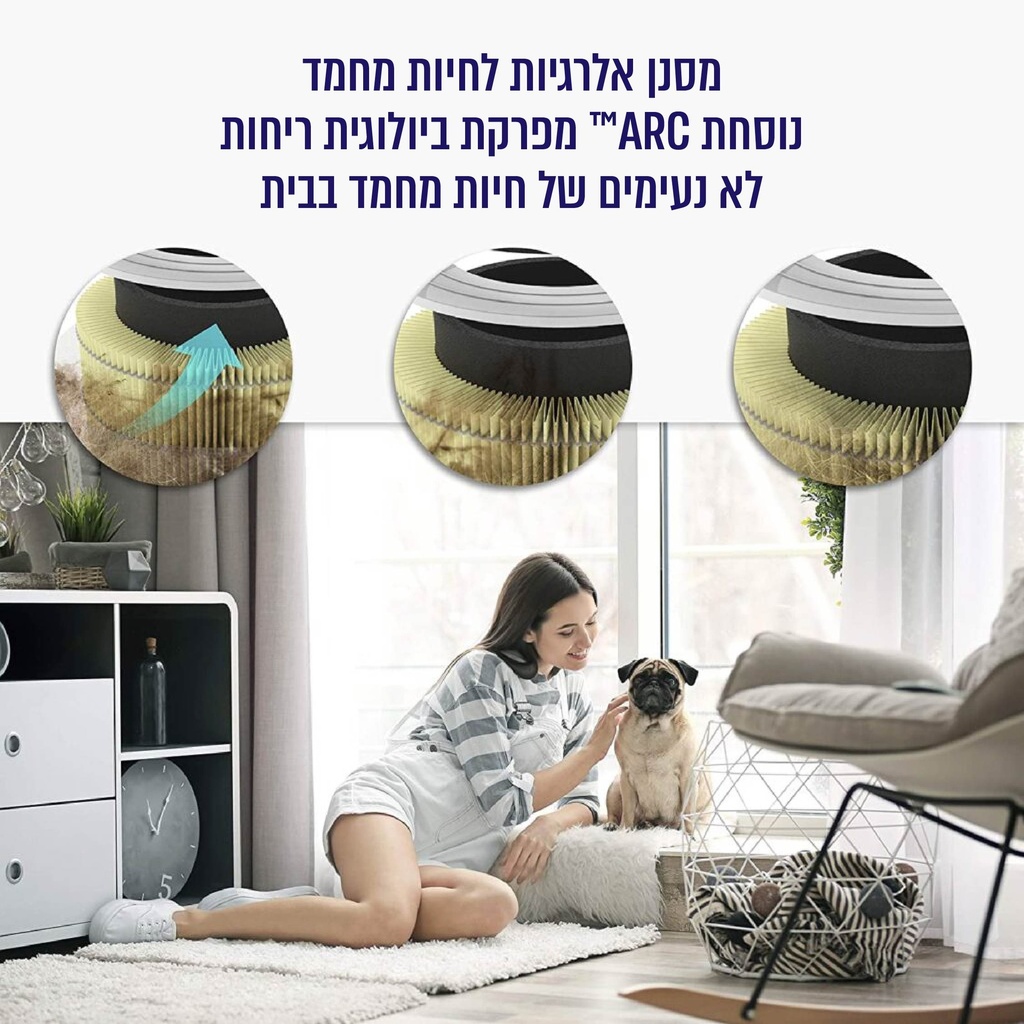 תמונה 3