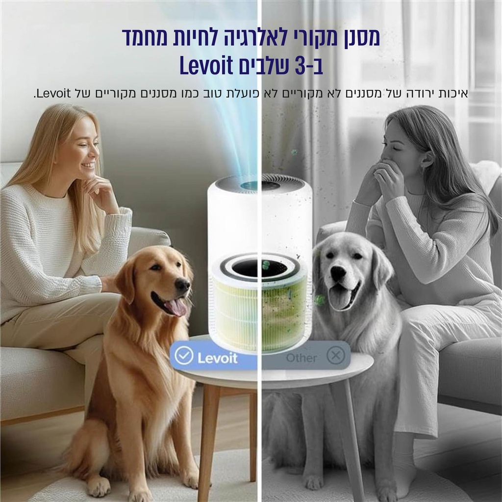 תמונה 4