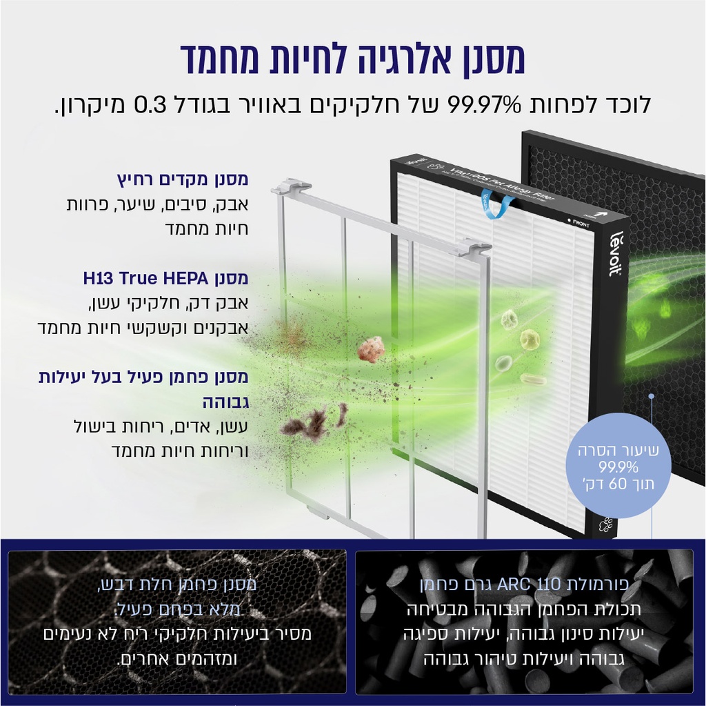 תמונה 3