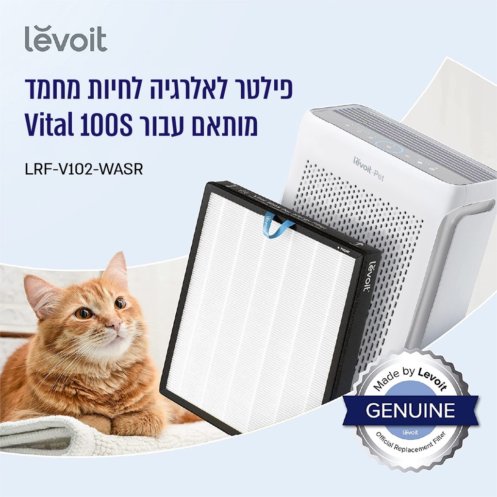 תמונה 5